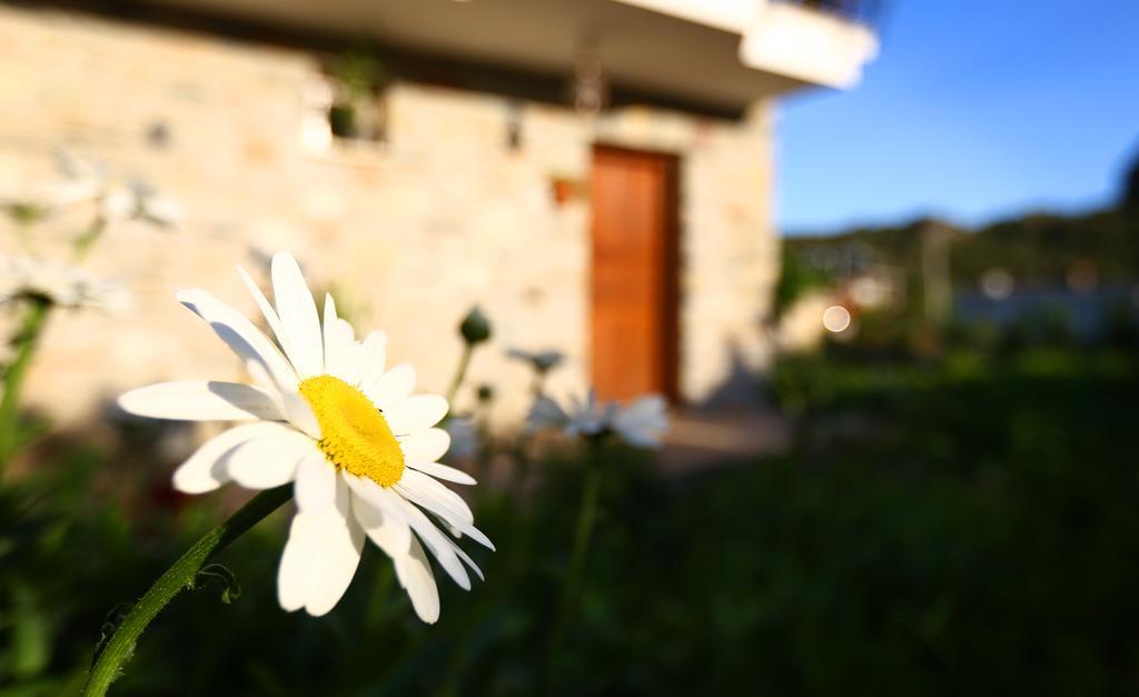 Hayitbuku Ahsapevleri Guest House Mesudiye  Exterior photo